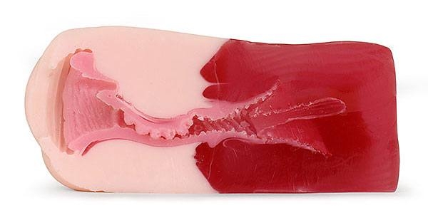Gokusai Uterus Onahole