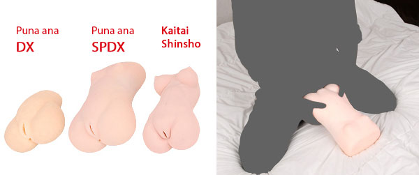 SPDX VS Kaitai Shinsho