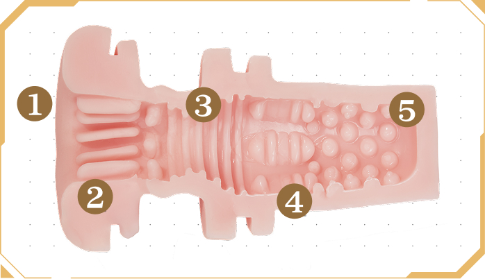 Standard Vaginal Tunnel