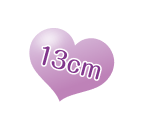 13cm