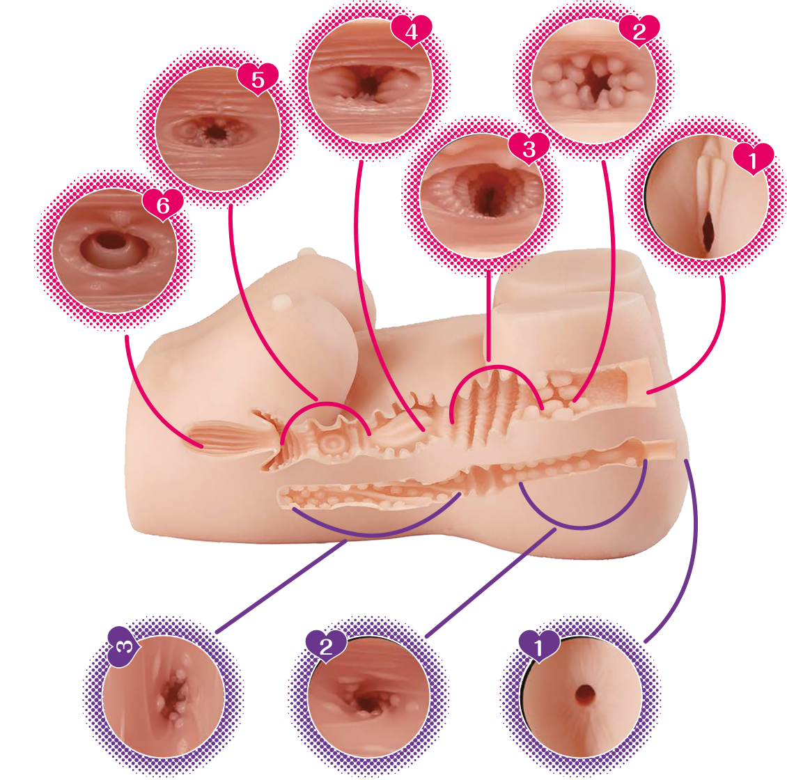 Schnittansicht der Dual-Tunnel