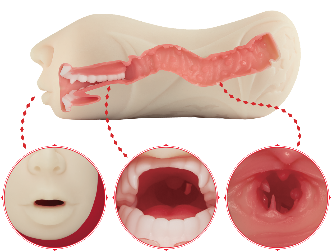 Cutaway of Giu's Midnight Moan tunnel with its three stages